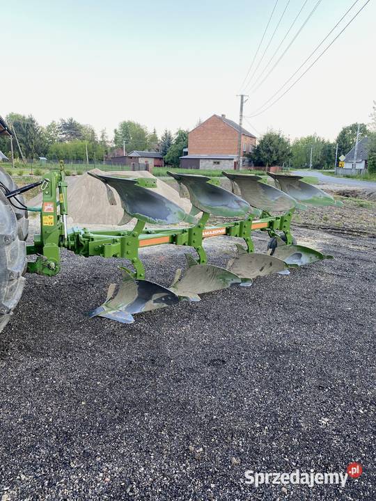 Piękny Amazone cayronXMSBardzoładny stanDużo Mielec