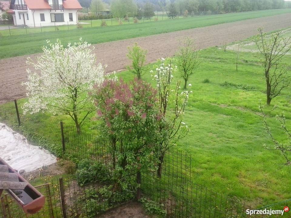 Sprzedam dom strych Skała