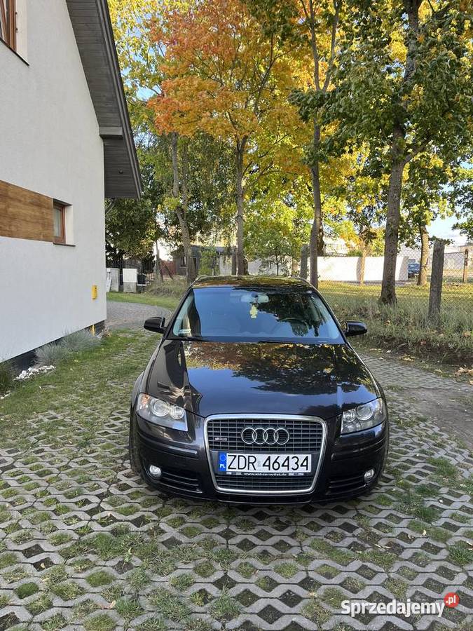 Audi A3 8P 20 tdi 170 Poznań