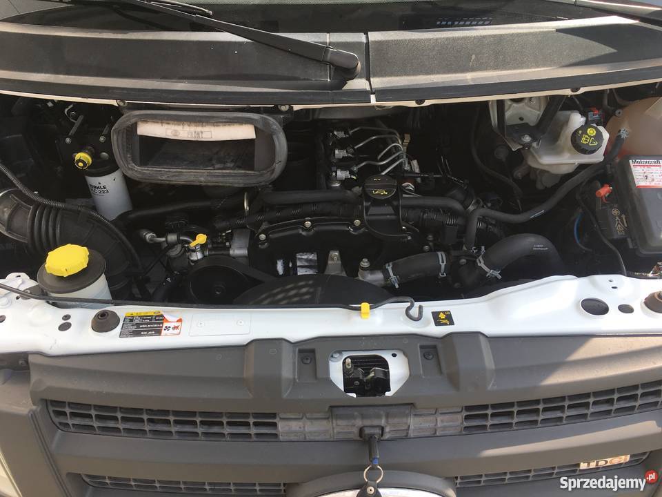 FORD TRANSIT T350 24 TDCI 115 SKRZYNIOWY KLIMA sprowadzony Piekarzew sprzedam