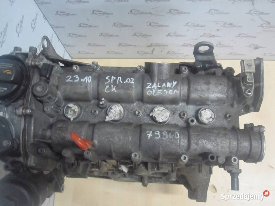 GOLF PLUS 08r 16 BLF 114 172 silnik Kielce sprzedam