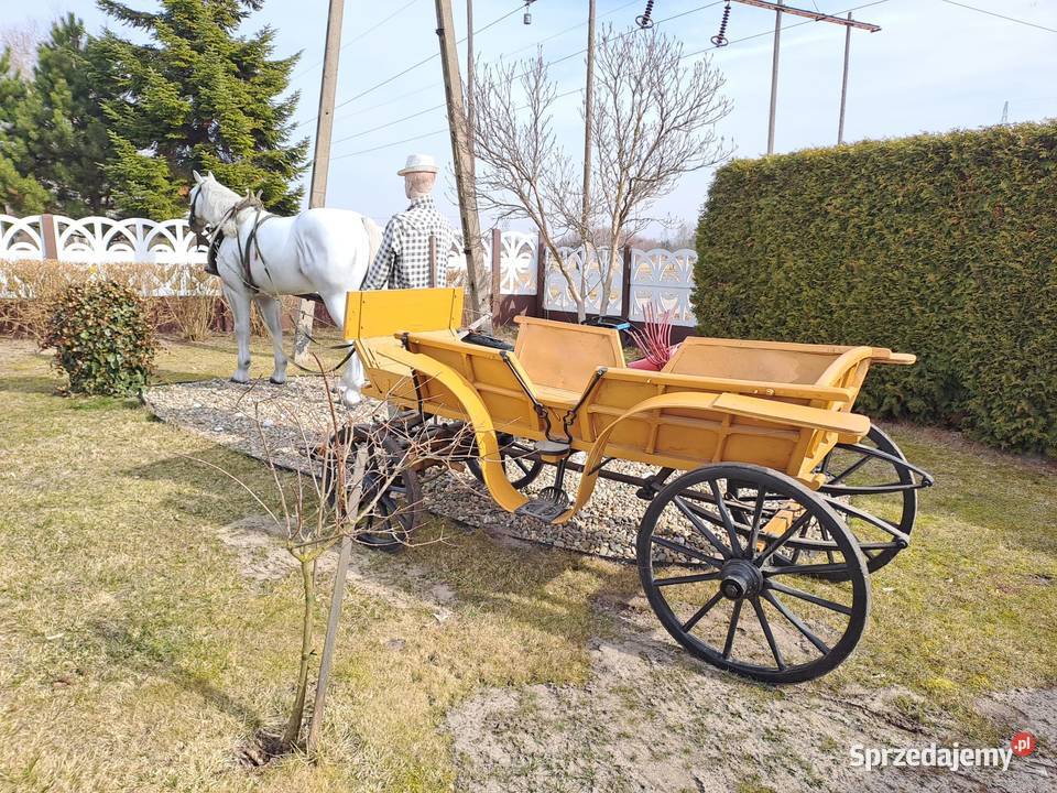 bryczka konna wóz karoca Tuczępy