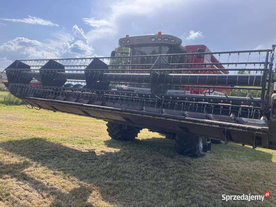Kombajn zbożowy Massey Ferguson Centora 7282 AL Zbożowe Drohiczyn
