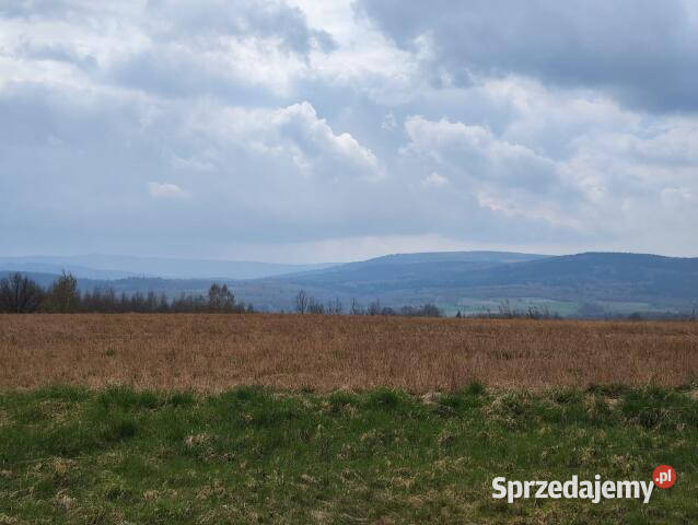 Działka 1592m2 Grudza budowlana dolnośląskie sprzedam