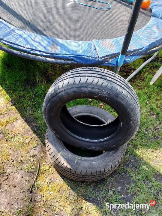 Opony lato 19560 r 15 Samochodowe Malczyce