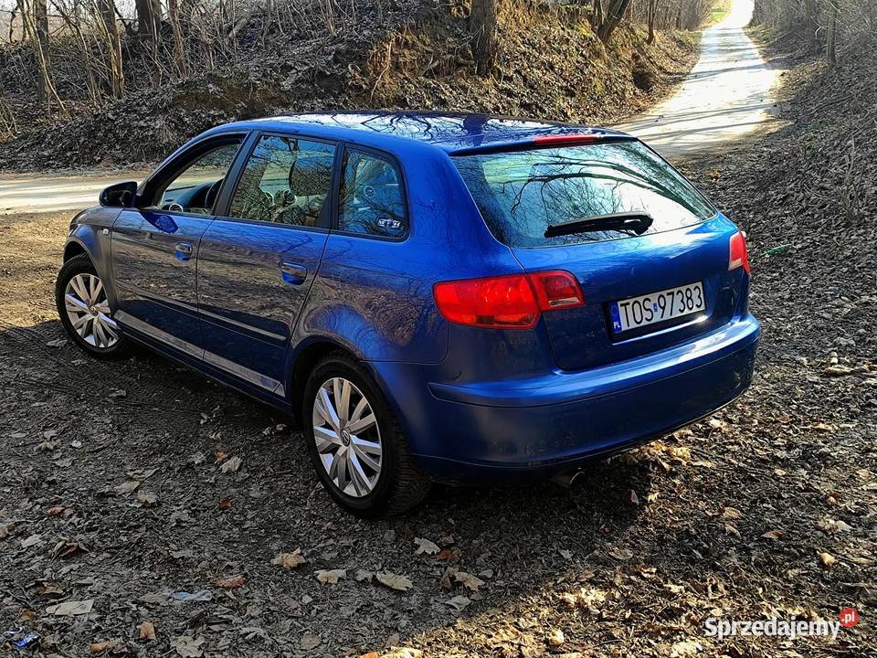Audi A3 8P 16 Benzyna 215 Podgrzewane Fotele 4el świętokrzyskie