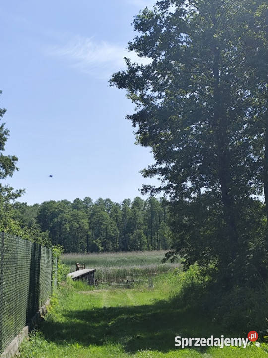 MAZURY Działka jeziorem Roś z dostępem do linii