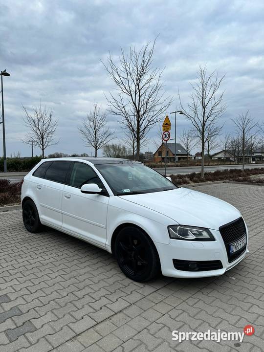 Audi a3 8p 20 białe ESP