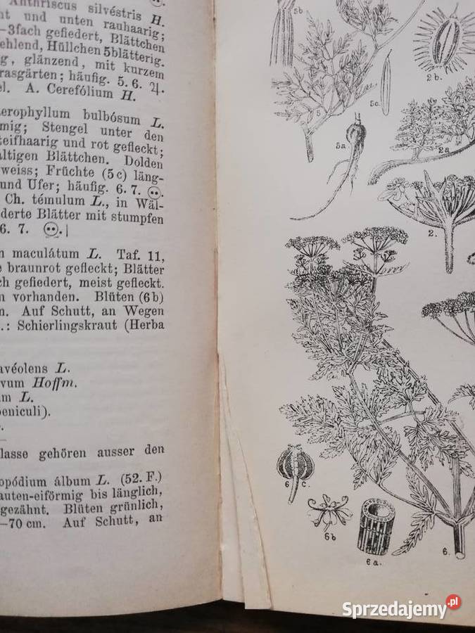 Der Pflanzenfreund Kraków sprzedam