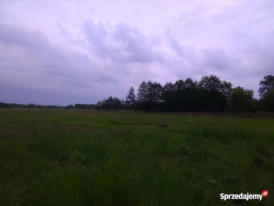 działka Gubin Guben Żenichów zachód nowe 39m