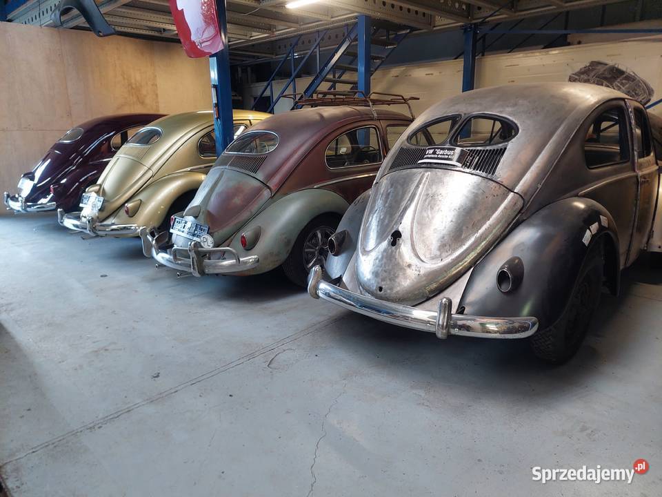 VW Garbus Zwitter 1952 remoncie blacharskim