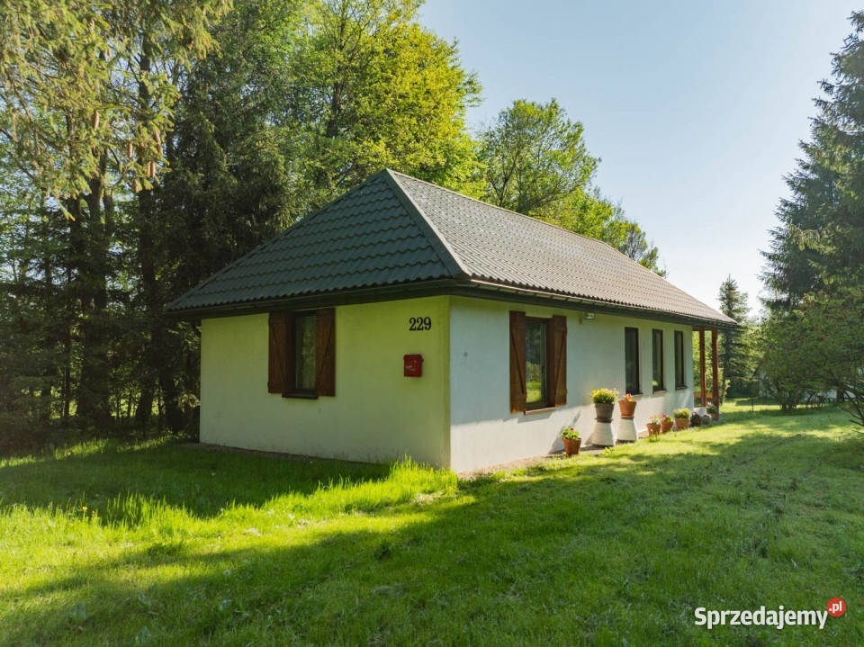 Klimatyczny dom wśród zieleni 9700 m Chronów 8823zł/m2 Sprzedaż