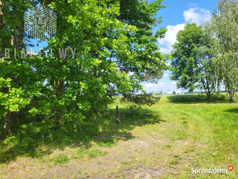 Działka do sprzedania Elżbietów 6400m2