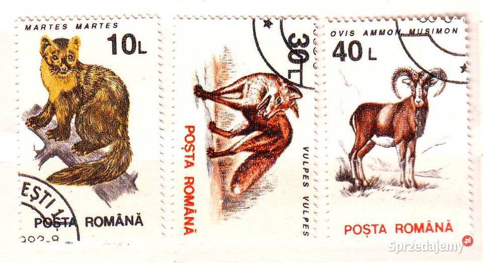 Zn Rumunia Mi 4901 5 6 kas 1993 Gliwice