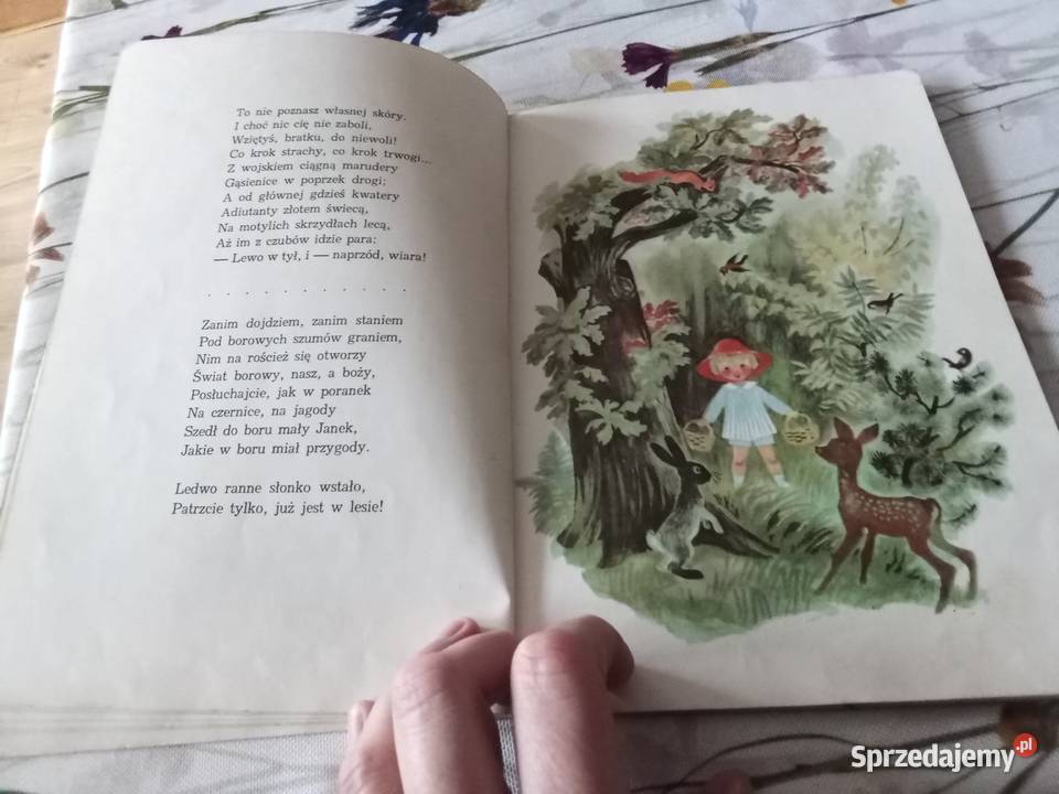 PRL książka Konopnicka Na jagody 1969 łódzkie Łódź