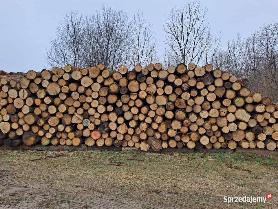 Sprzedam Drewno DAB S2B Opał