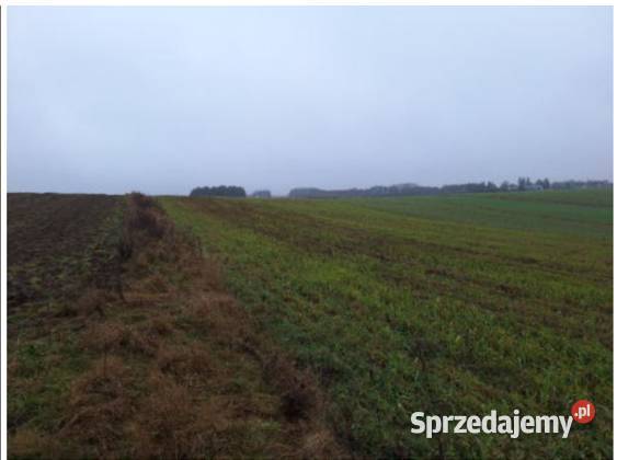Przetarg na sprzedaż działki w Karsinie pomorskie Karsin sprzedam