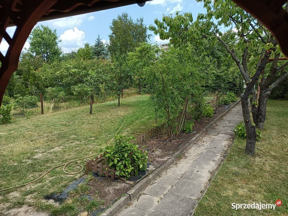 Działka ROD Bemowo Warszawa sprzedam