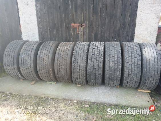 Opony kujawsko-pomorskie Miesiączkowo