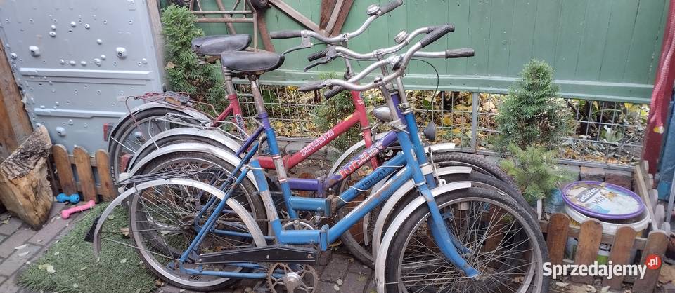 Jubilaty 4 sztuki całosc