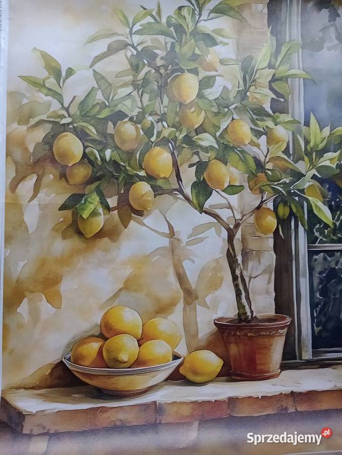 Obrazy na płótnie 60 x 40 dolnośląskie