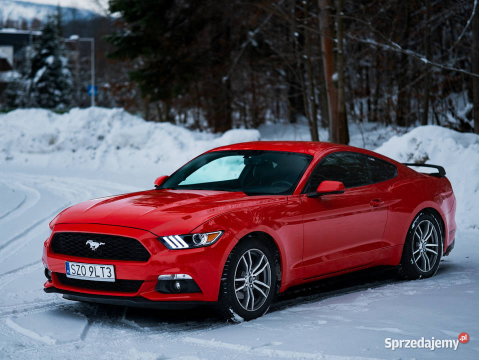 Ford Mustang 23 EcoBoost Żory