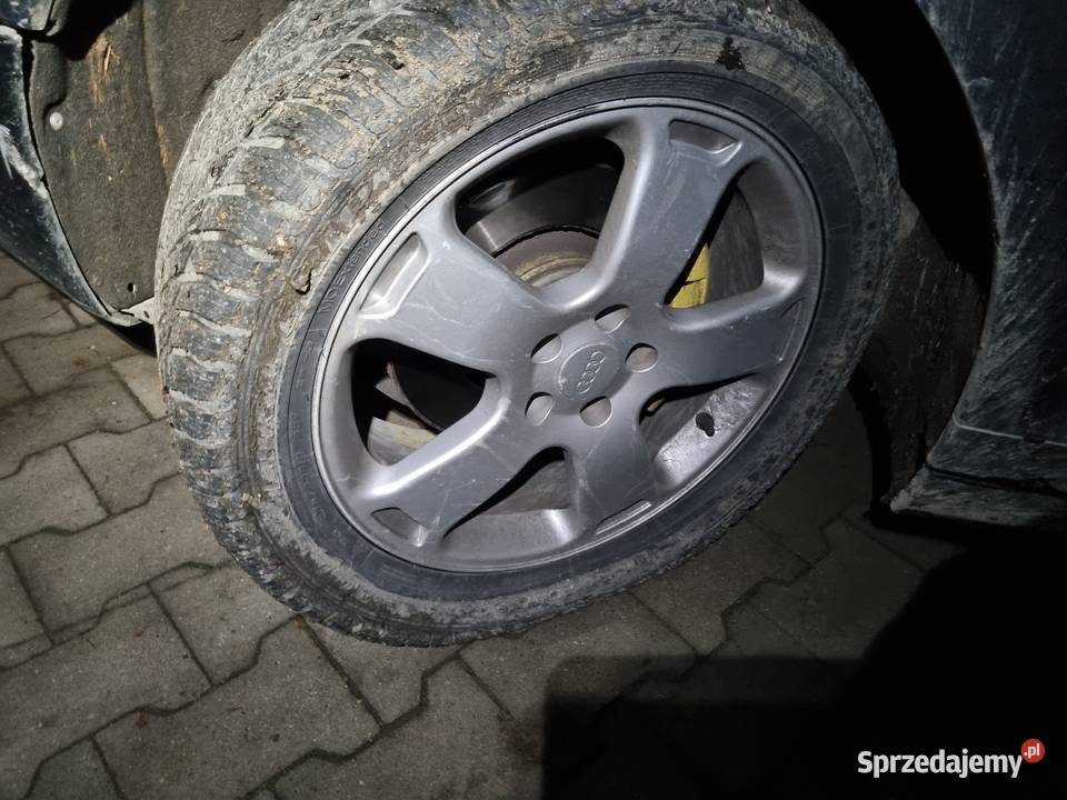 Audi A6 C6 4F Allroad Grill Atrapa Znaczek Logo Myślenice