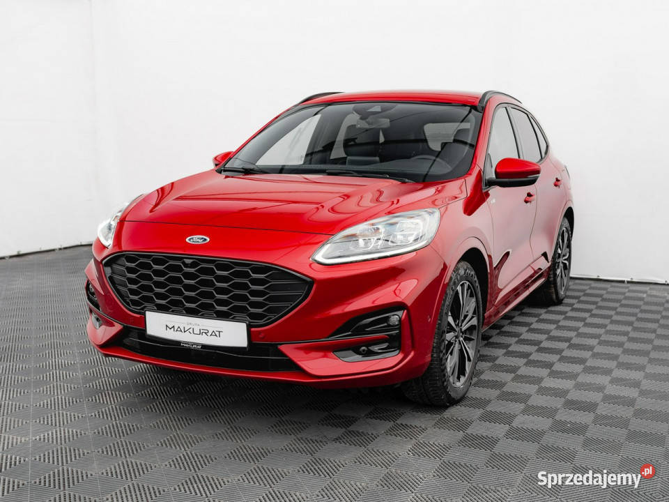 Ford Kuga PY4805125 FHEV FWD STLine X Podgrzf Gdańsk