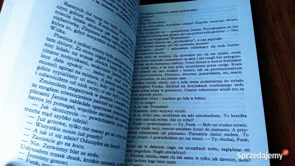 Pierścionek z końskiego włosia powieść sprzedam