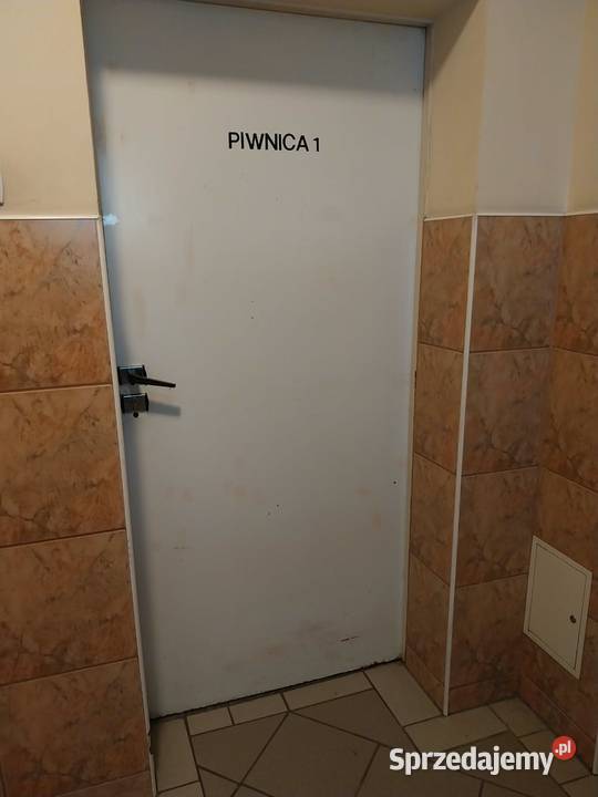 Do wynajecia piwnica komorka PORANNA murowany dolnośląskie Wrocław