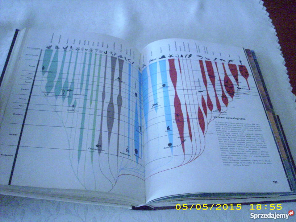 Ziemia rośliny zwierzęta Larousse Rok wydania 1985