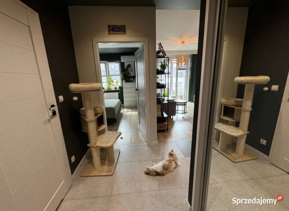 2pok 44met Słonimskiego BALKONKOMÓRKAGARAŻ Wrocław