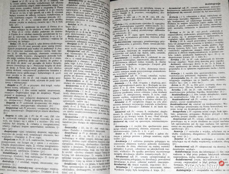 Mały słownik języka polskiego Red Elżbieta Sobol Chełm