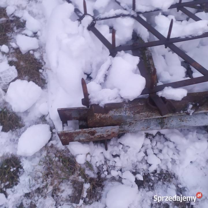 Brony 5 posiewne Pniówek