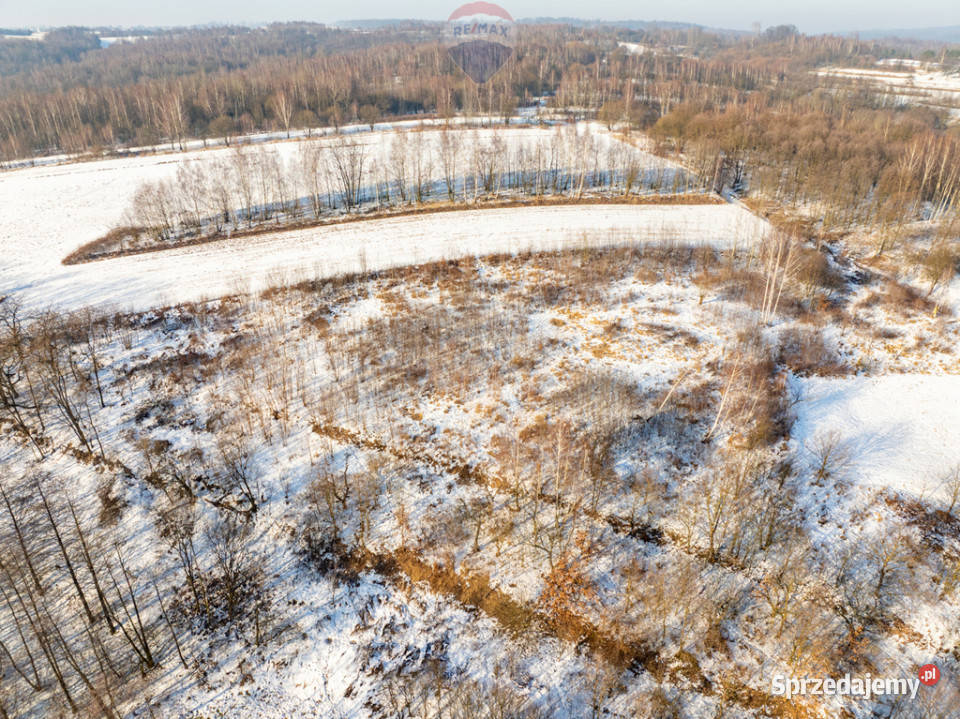 Rolna w urokliwej okolicy małopolskie Czułów