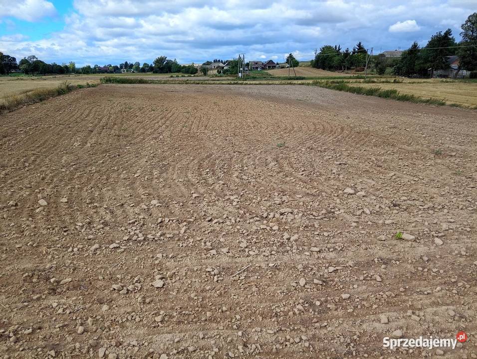 Działka rolno zagrodowa 040ha 4000m2 lubelskie Zakręcie