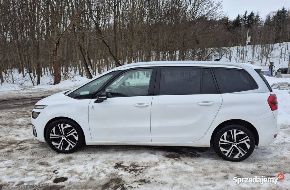 C4 Spacetourer Grand Origins Gwarancja 115000km Gdańsk