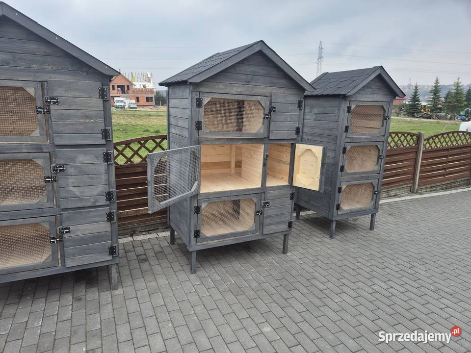 Klatka królików Jordanów