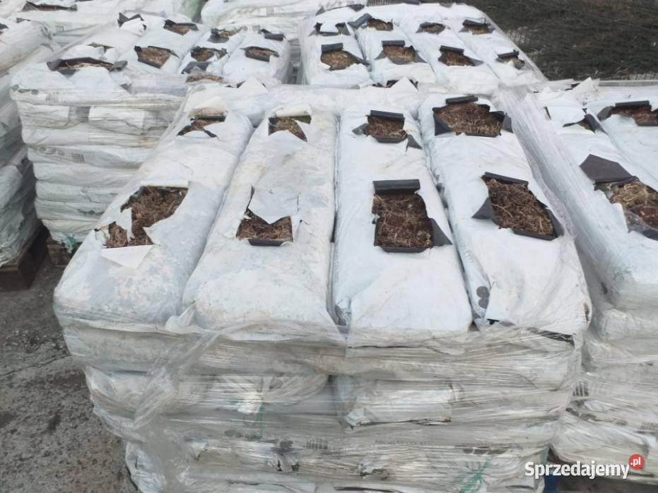 Maty kokosowe używane