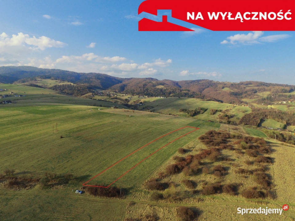 Działa w Grywałdzie z możliwością uzyskania WZ Grywałd