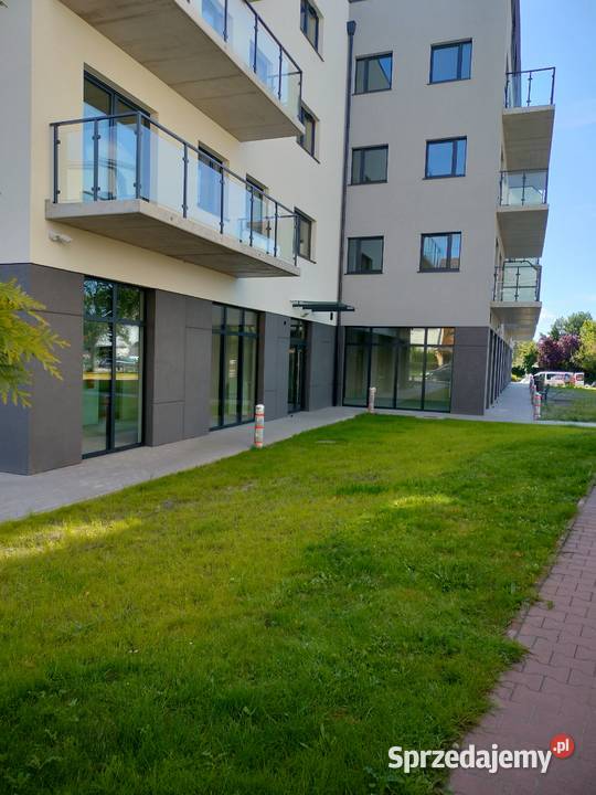 Wynajem wielkopolskie Mosina