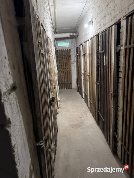 Syndyk sprzeda mieszkanie w Opolu Opole