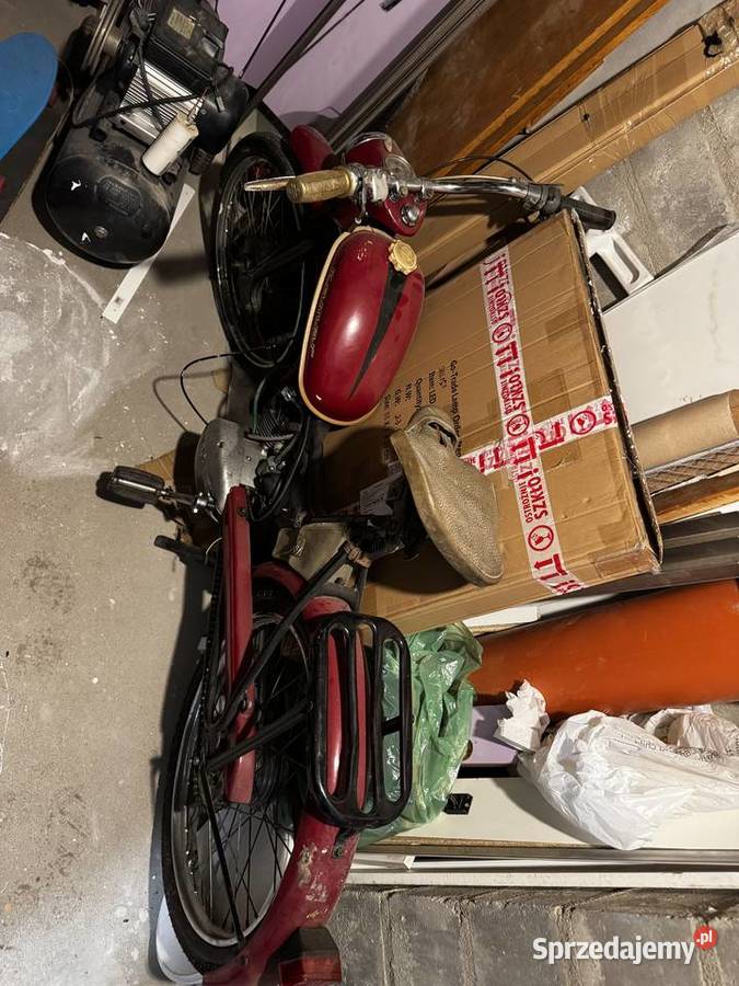 Romet sztywniak Różnowo