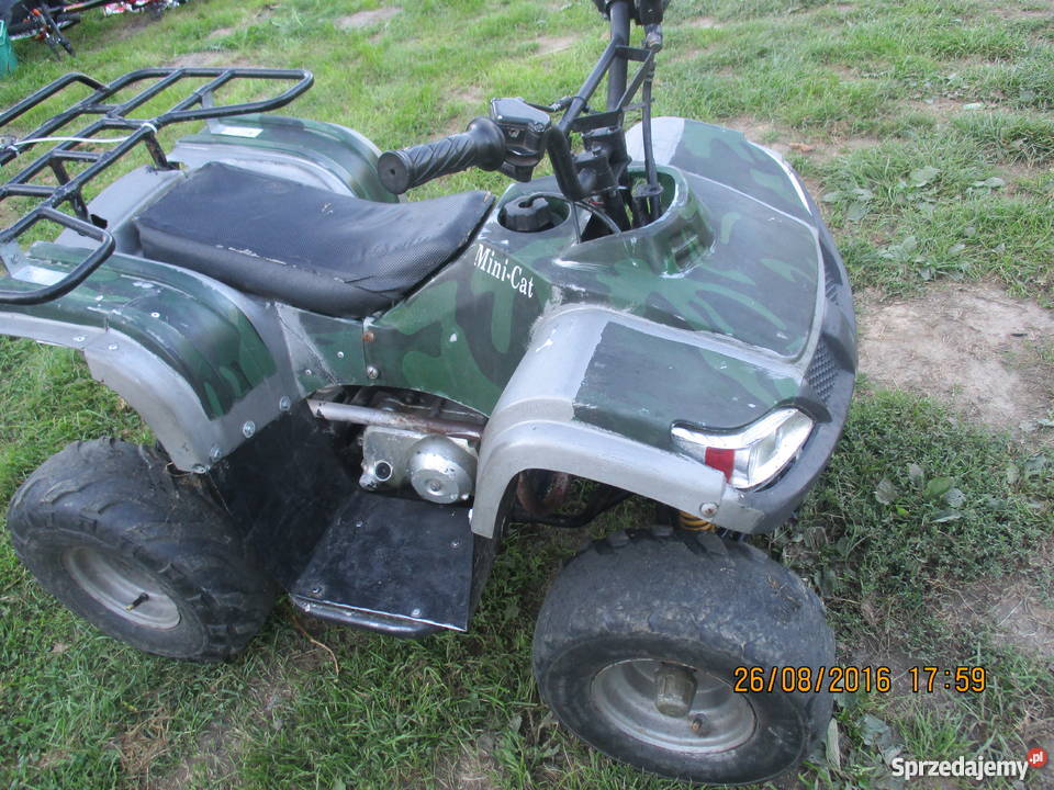 mini quad 110 Lewniowa