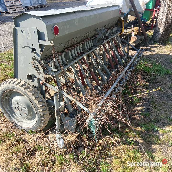 Siewnik poznaniak Rokitno