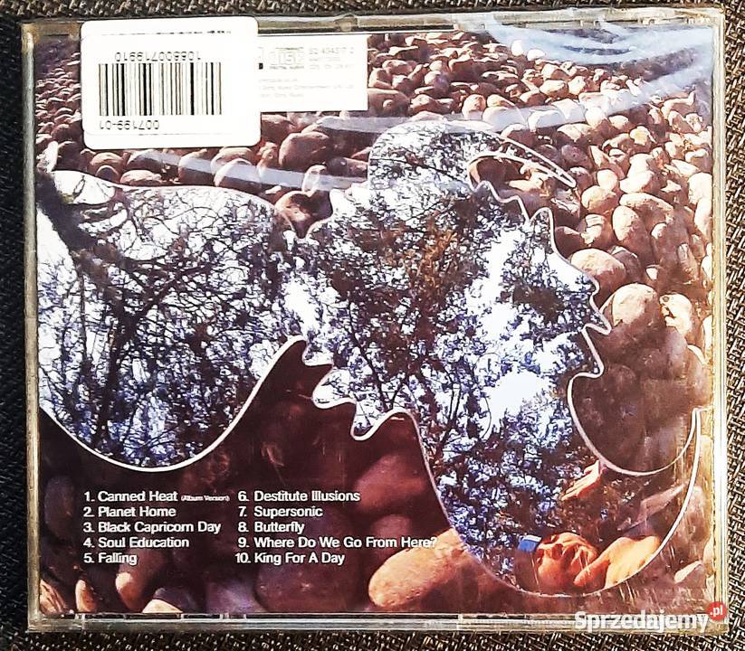 Album CD JAMIROQUAI Album Synkronized Cd Płyty i kasety Katowice