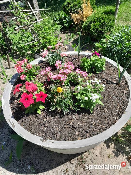 Donica betonowa okrągła Radoszyce