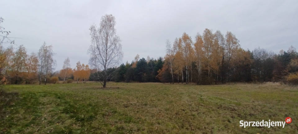WarszawaRaszynTarczyn Posiadłość 21 ha z
