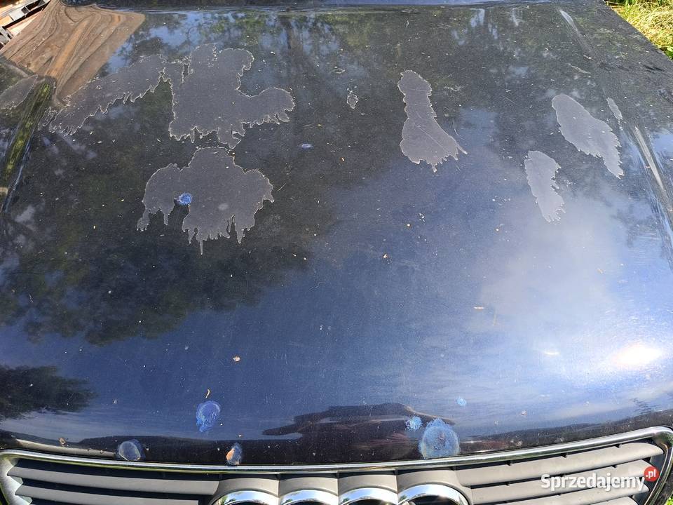 Maska LZ5L Audi A4 B5 FL a31 Myszków