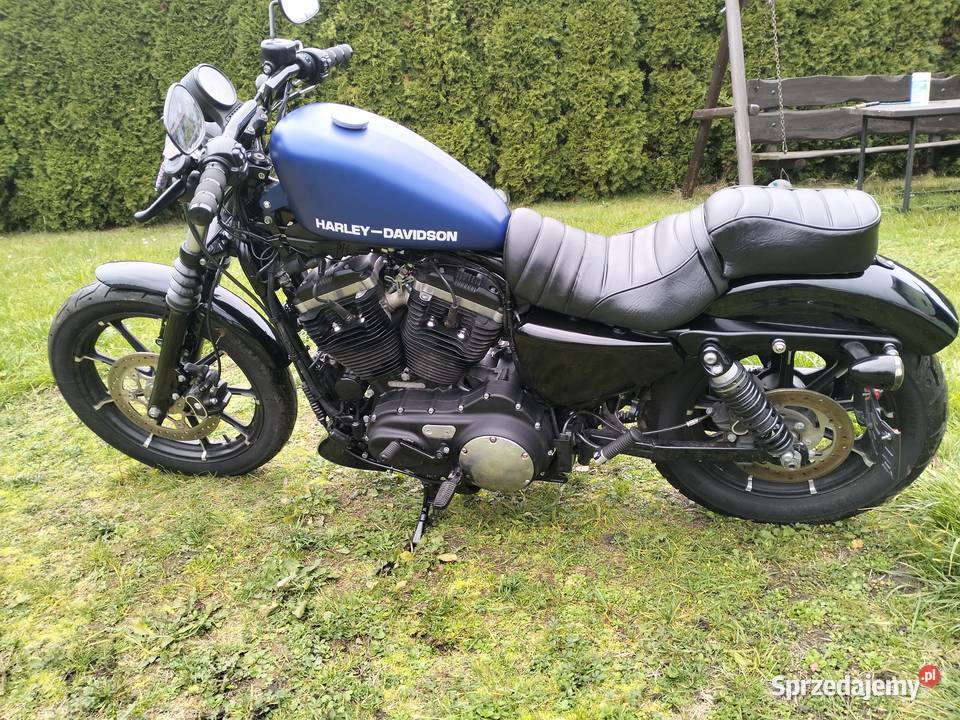 Harley Davidson sportster Iron Harley-Davidson Ostrów Wielkopolski